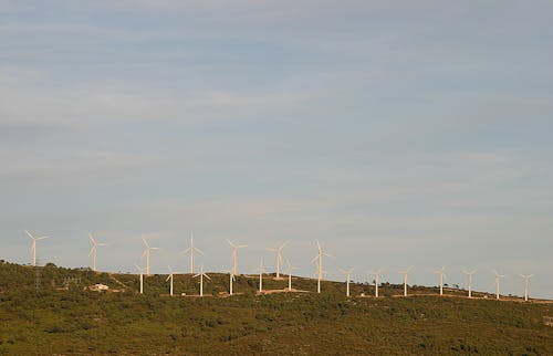 Free stock photo of alternative energy, clean energy, ecopark Stock Photo