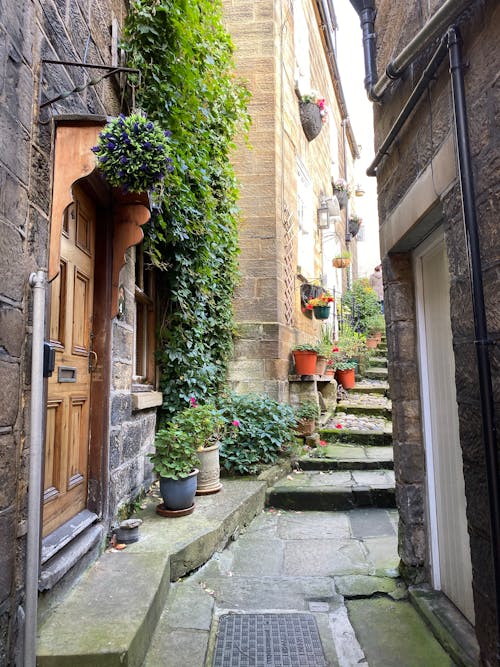 Narrow Alley With Green Potted Plants Near Brown Wooden Door