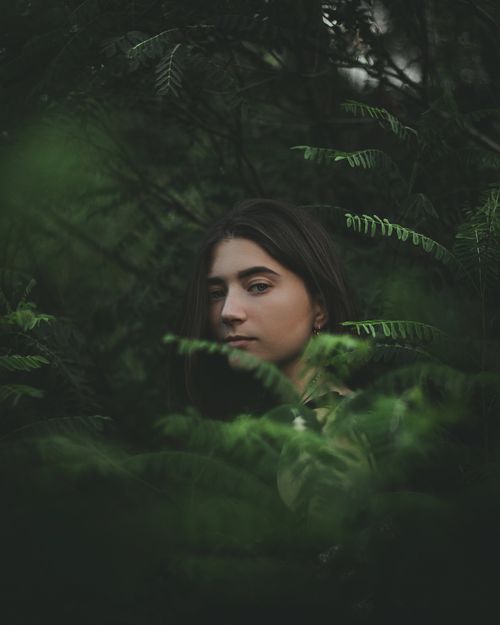 Free Side view of tranquil young female millennial with dark hair standing amidst lush green plants in forest and looking at camera Stock Photo