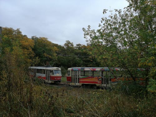 güz, tramvay içeren Ücretsiz stok fotoğraf