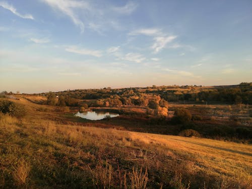 çim saha, doğa, kırsal içeren Ücretsiz stok fotoğraf