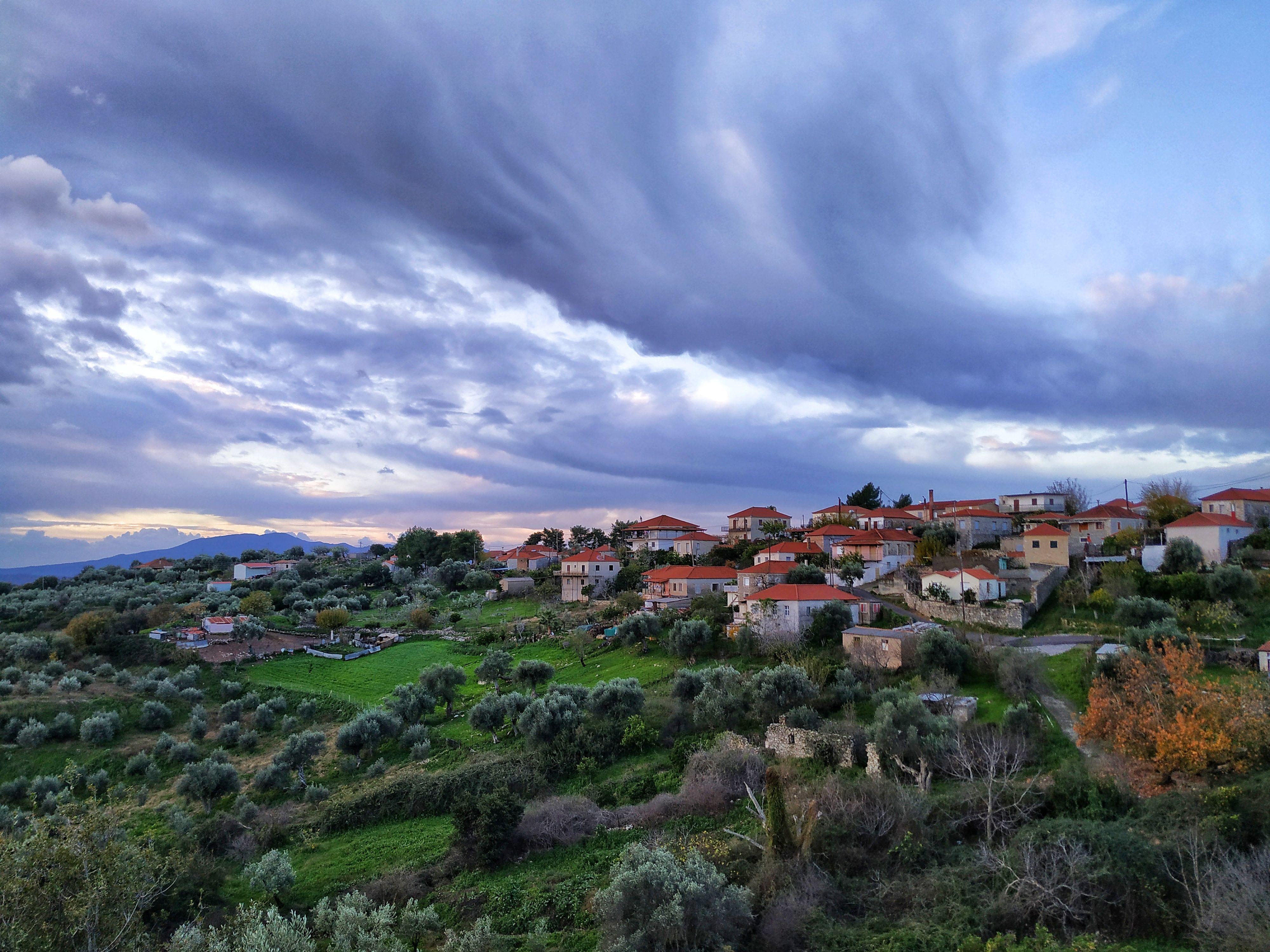 Portaria, Pelion · φωτογραφία περιοχής 2