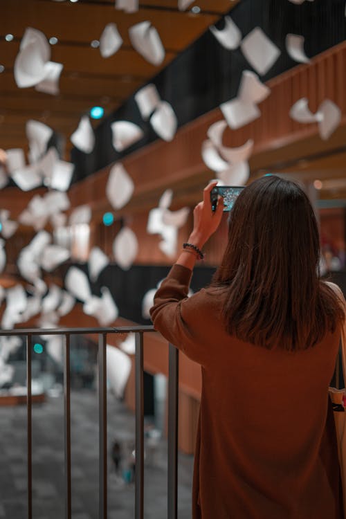 Gratis lagerfoto af bibliotek, brune lange ærmer, dybde