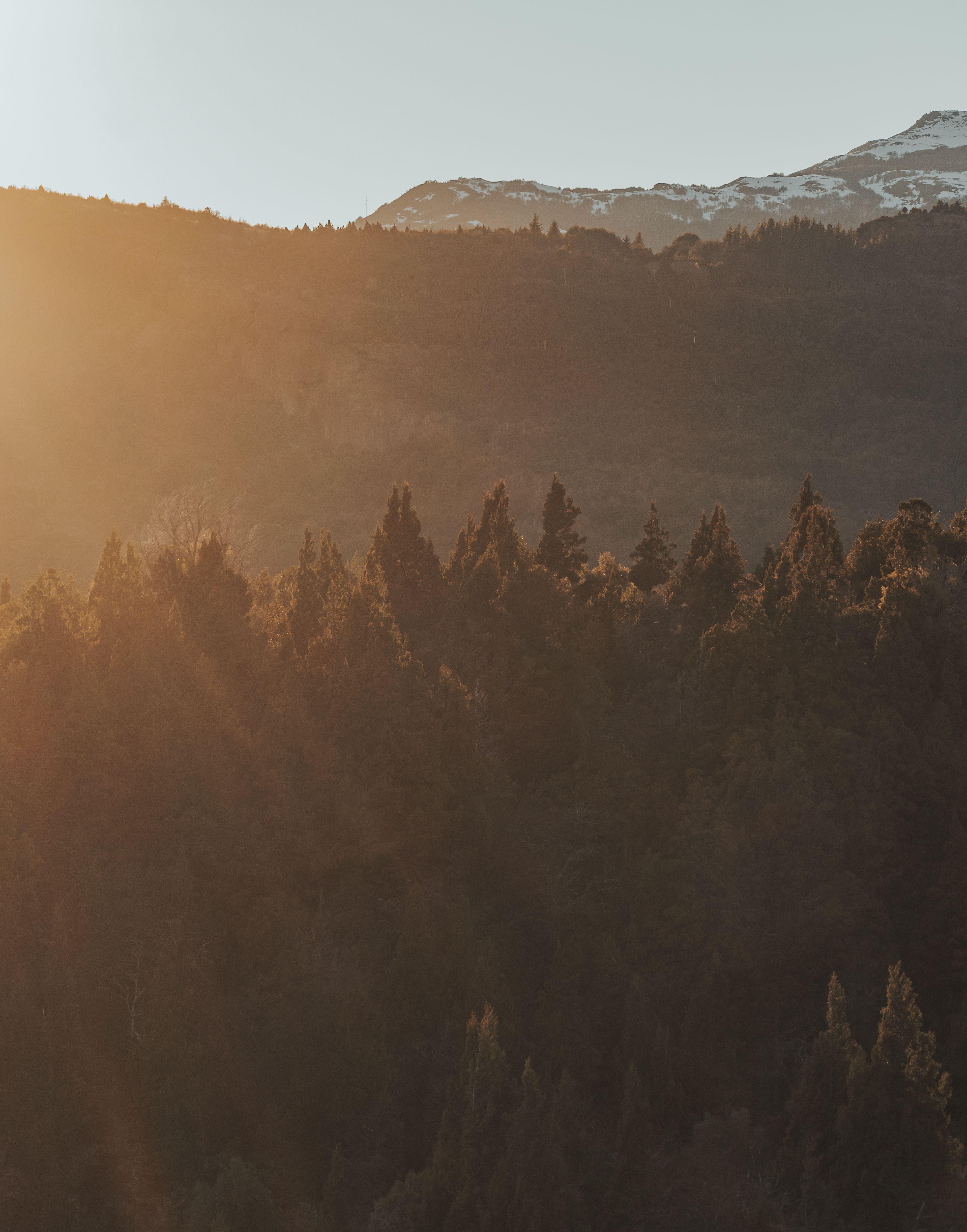 Green Trees On Mountain Under Blue Sky · Free Stock Photo
