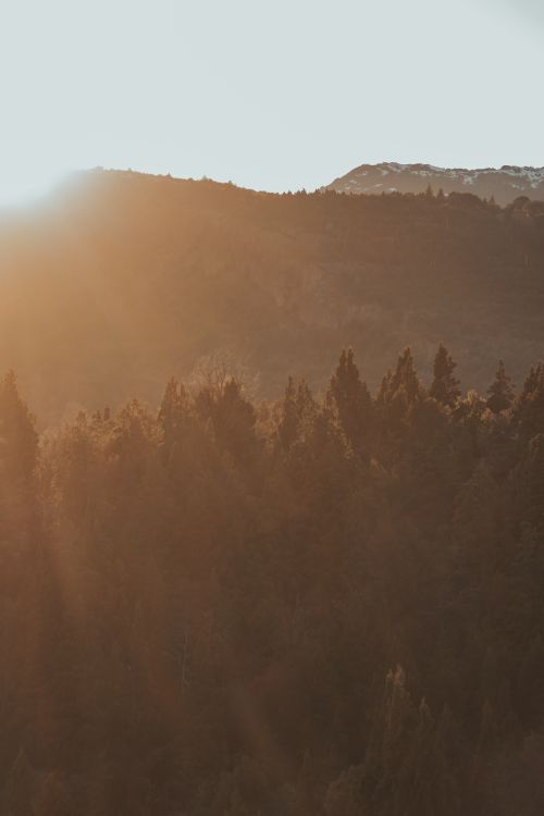 Free Breathtaking view of sunrise casting golden light over a dense mountain forest. Stock Photo