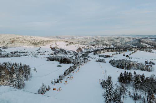 Immagine gratuita di alberi, cielo coperto, fotografia aerea