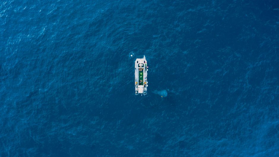Photo by K Breathtaking aerial view of modern motorboat floating on rippling surface of azure sea on sunny day