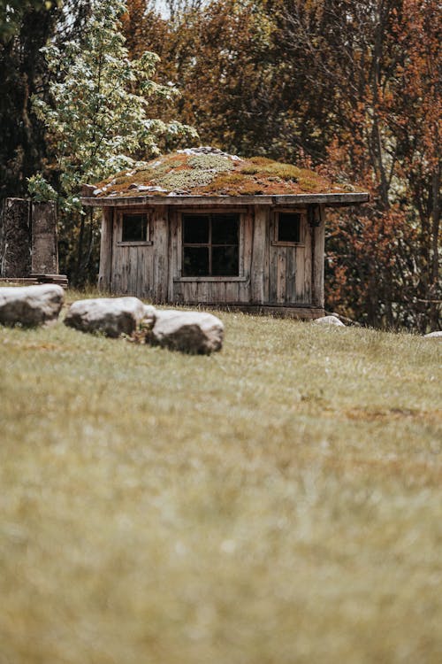 ağaçlar, arazi, çatı içeren Ücretsiz stok fotoğraf