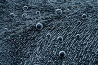 Macro shot of bird feather with interesting texture containing droplets and short lines