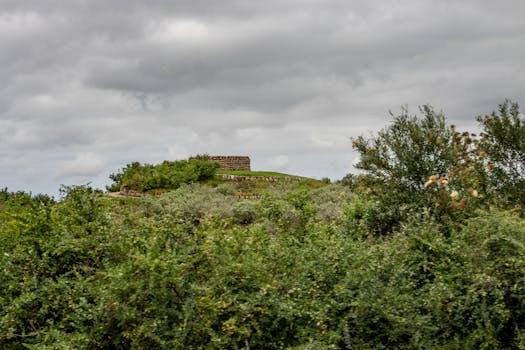 Ancient stone structure surrounded by greenery under a cloudy sky, perfect nature landscape stock photo.
