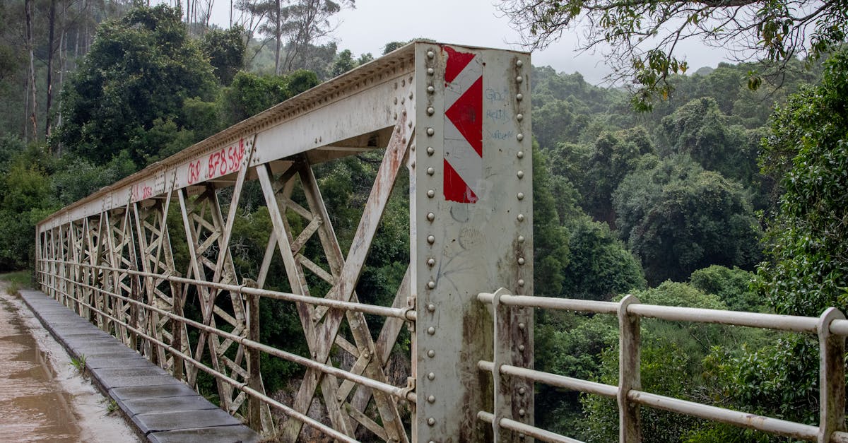 A Seed of Rebellion 1 image text