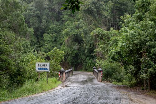 Free Tranquil road bridging lush green forest, enveloped in nature's serene beauty. Stock Photo