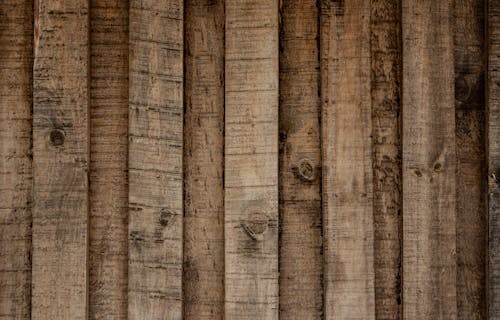 Foto profissional grátis de castanho, conhecimento, de madeira