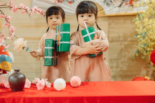 Adorable Twins in Traditional Wear carrying Gifts 