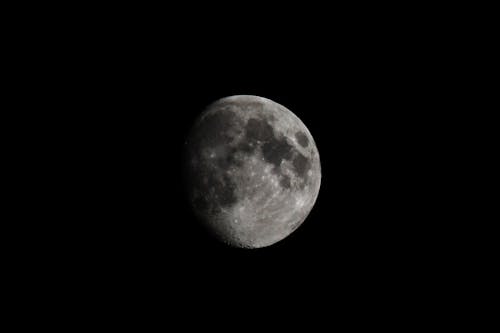 Gratis lagerfoto af grå, grundlæggende, halvmåne