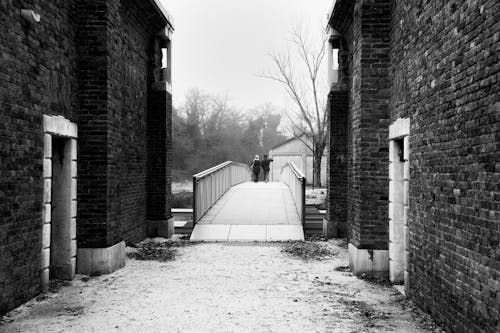 Základová fotografie zdarma na téma černobílý, chůze, cihlová zeď