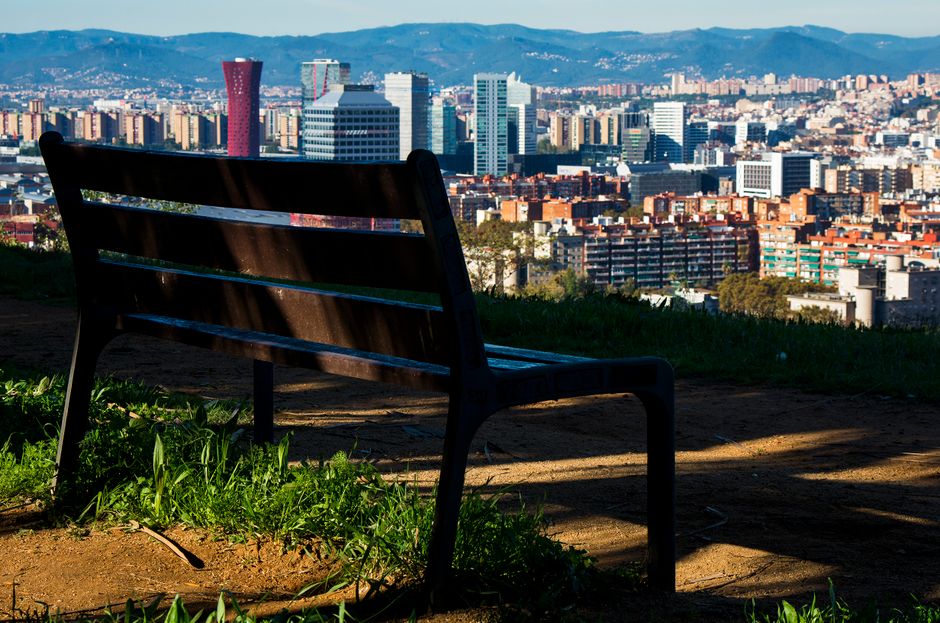 Una vista escénica desde un banco del parque con vista a un vibrante horizonte urbano bajo un cielo azul claro.