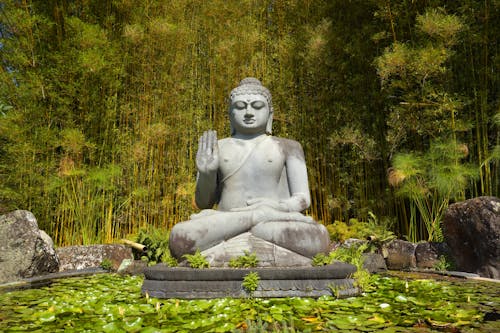 Fotobanka s bezplatnými fotkami na tému Austrália, Buddha, jazierko