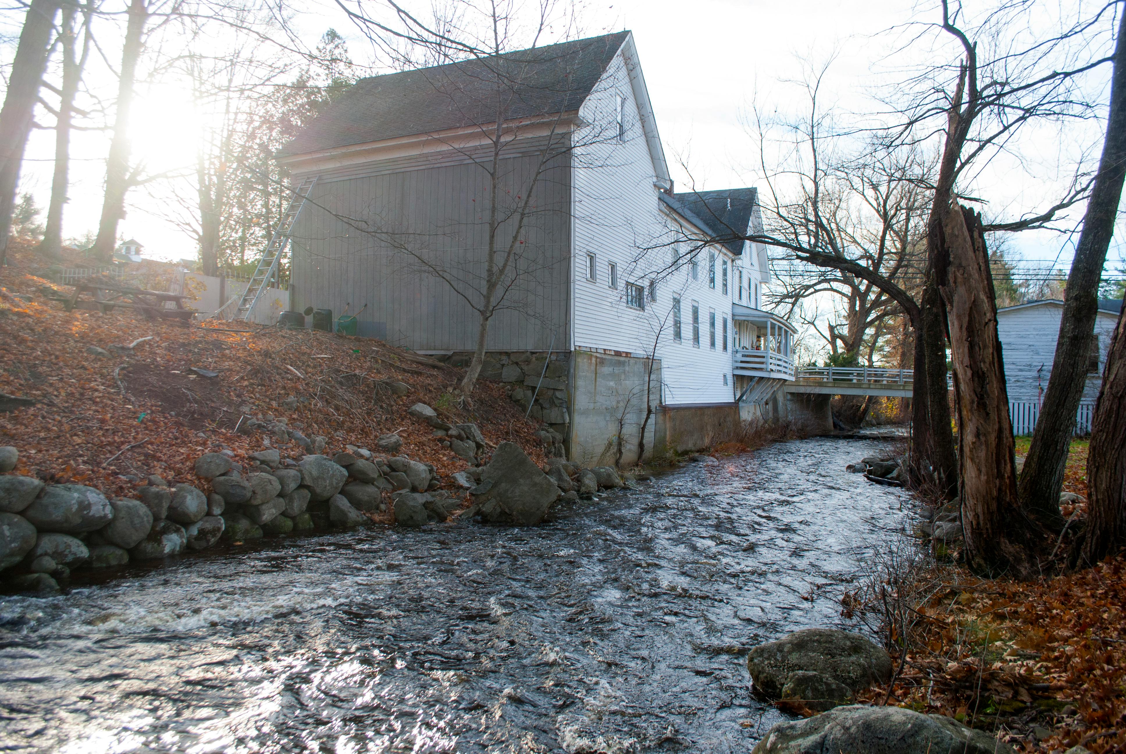 Variedad de cicchetti venecianos en un bar