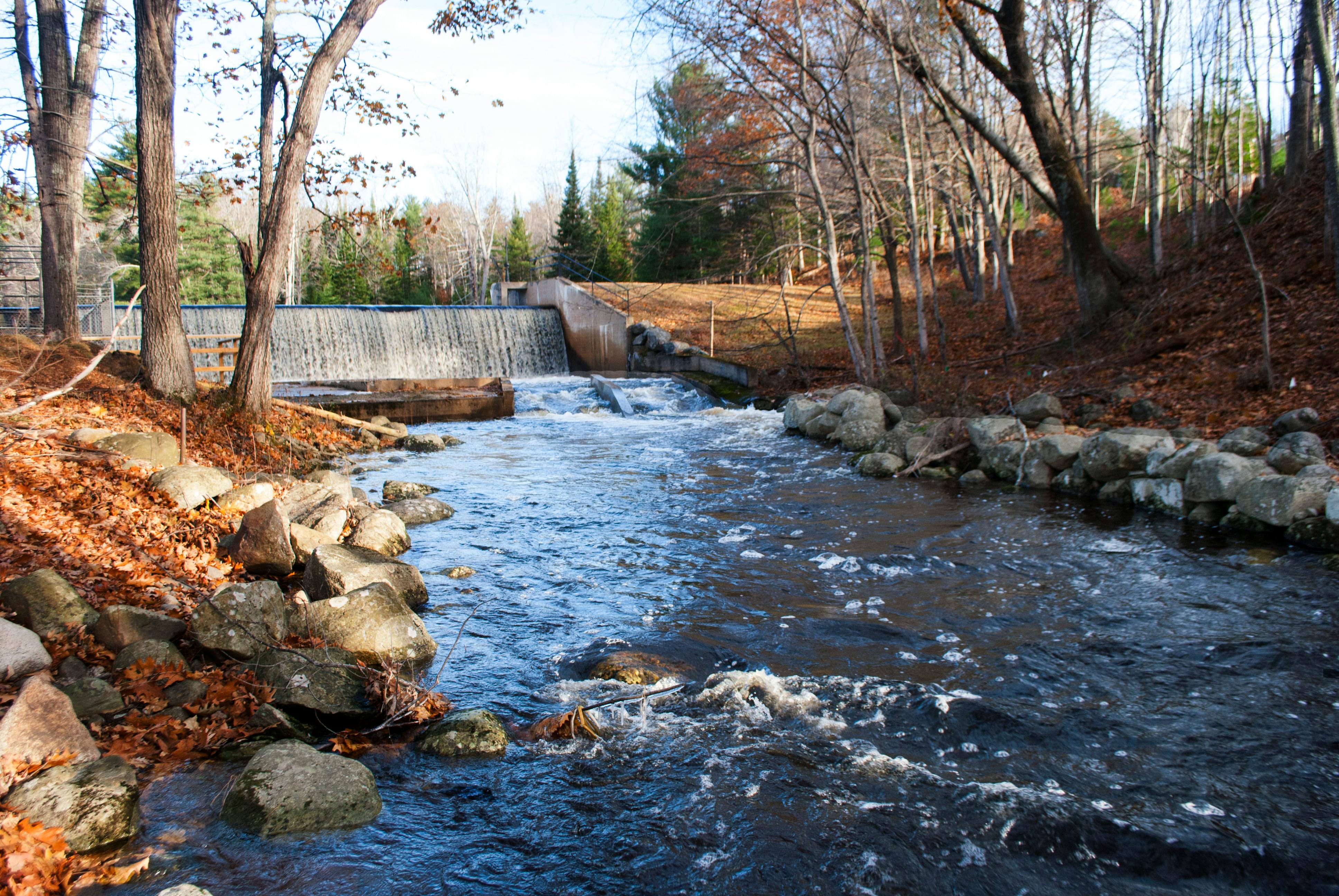 A hearty bowl of traditional Irish Stew