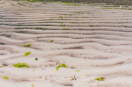 Close-up Photo of Sand Ripples