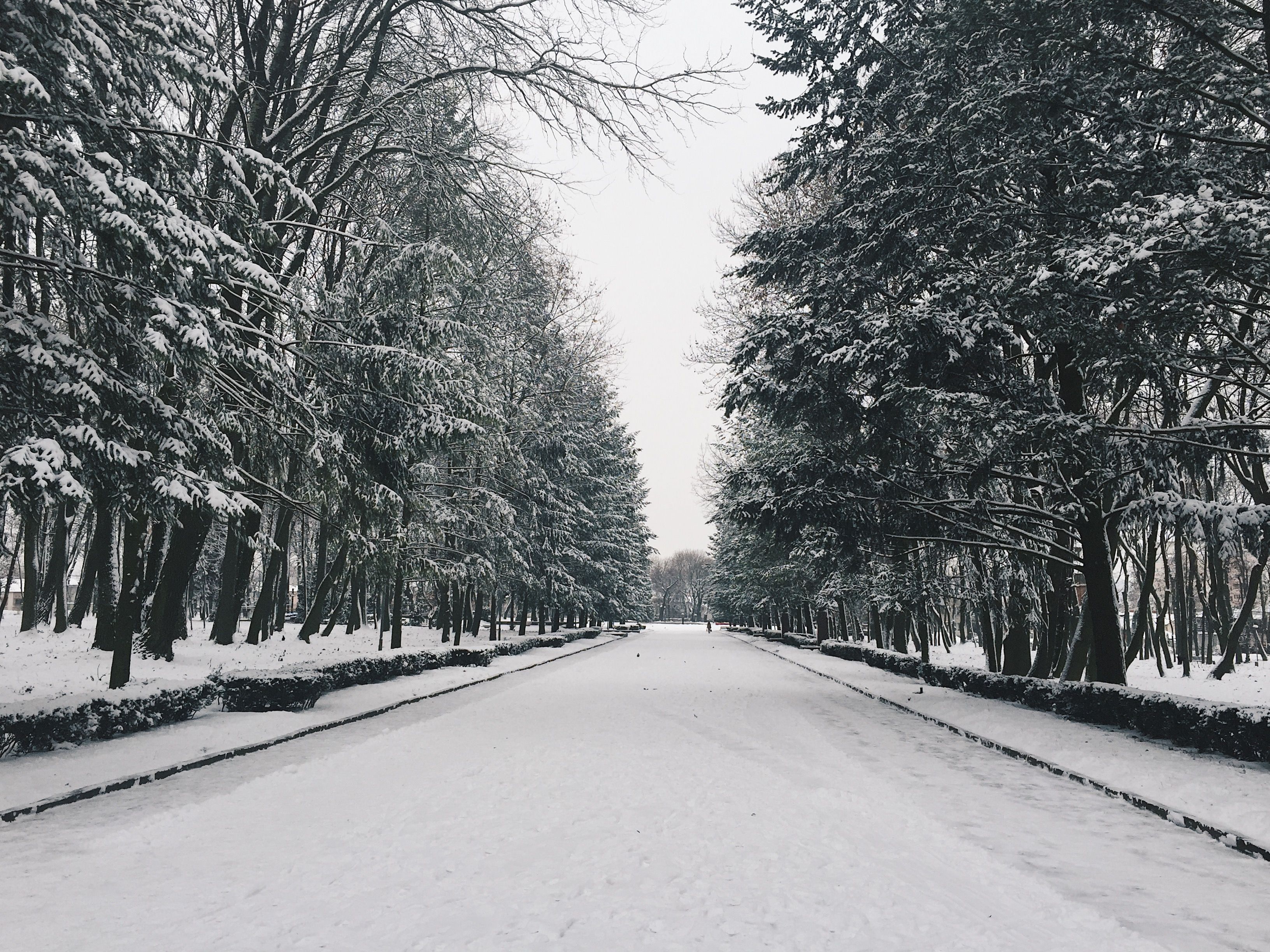 How To Correct A Slide On An Icy Road And How To Prevent Them Winter