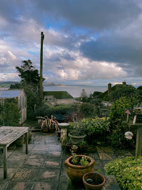 Free Empty backyard with potted green plants on tile near wooden table and greenhouse near shrubs and buildings on background under cloudy blue sky in summer day Stock Photo