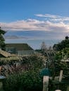Backyard with small wooden birdhouse with feeders near plants and bushes with green leaves growing near building and ocean on background under blue cloudy sky