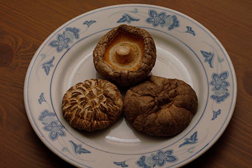 Free stock photo of donggu, shiitake mushrooms