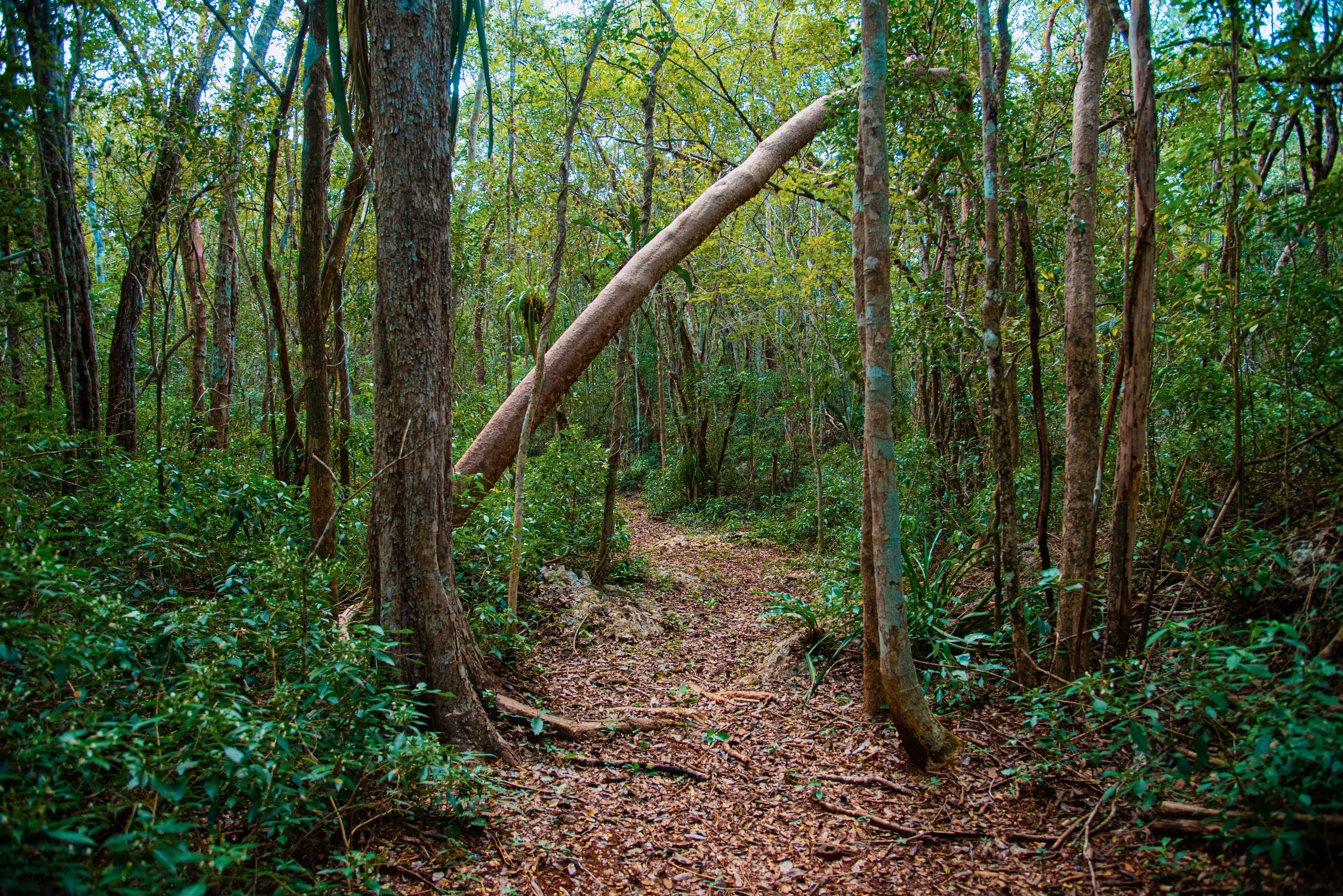 Ưu Đãi Khuyến Mãi
