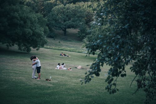 People Sitting on the Green Grass Field