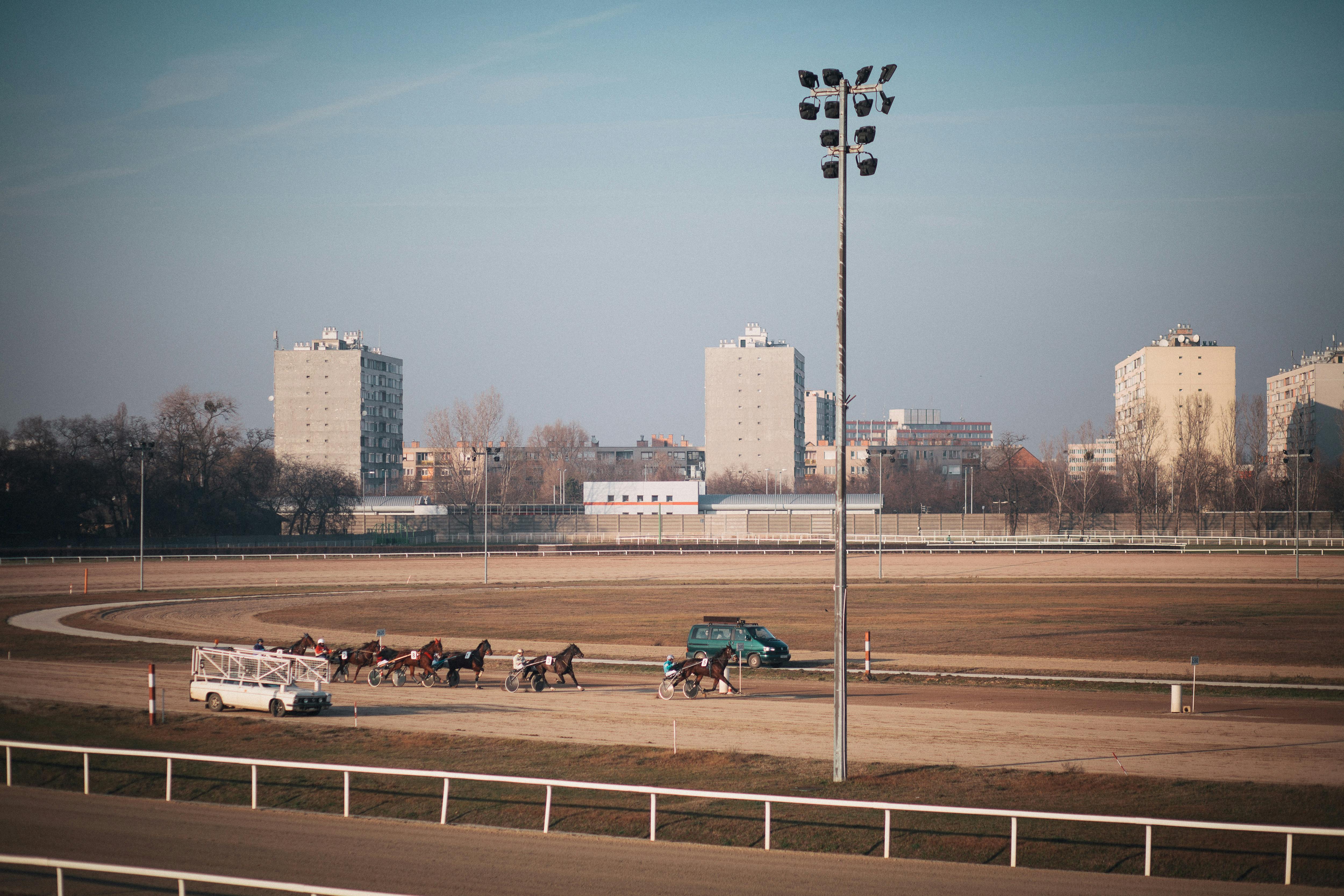 Horse racing on a sunny day at the Budapest race track, Hungary, with city backdrop.