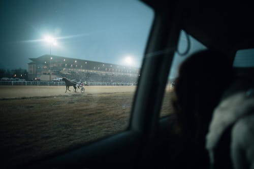 Free stock photo of budapest, derby, horse