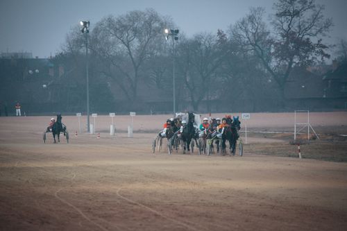 Free Thrilling horse racing competition at a race track in Budapest, Hungary. Capture the excitement! Stock Photo