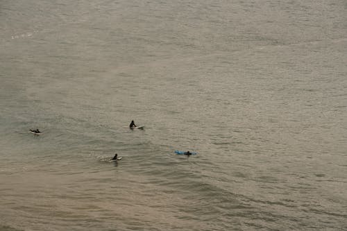 Aerial View of Surfers on the Sea