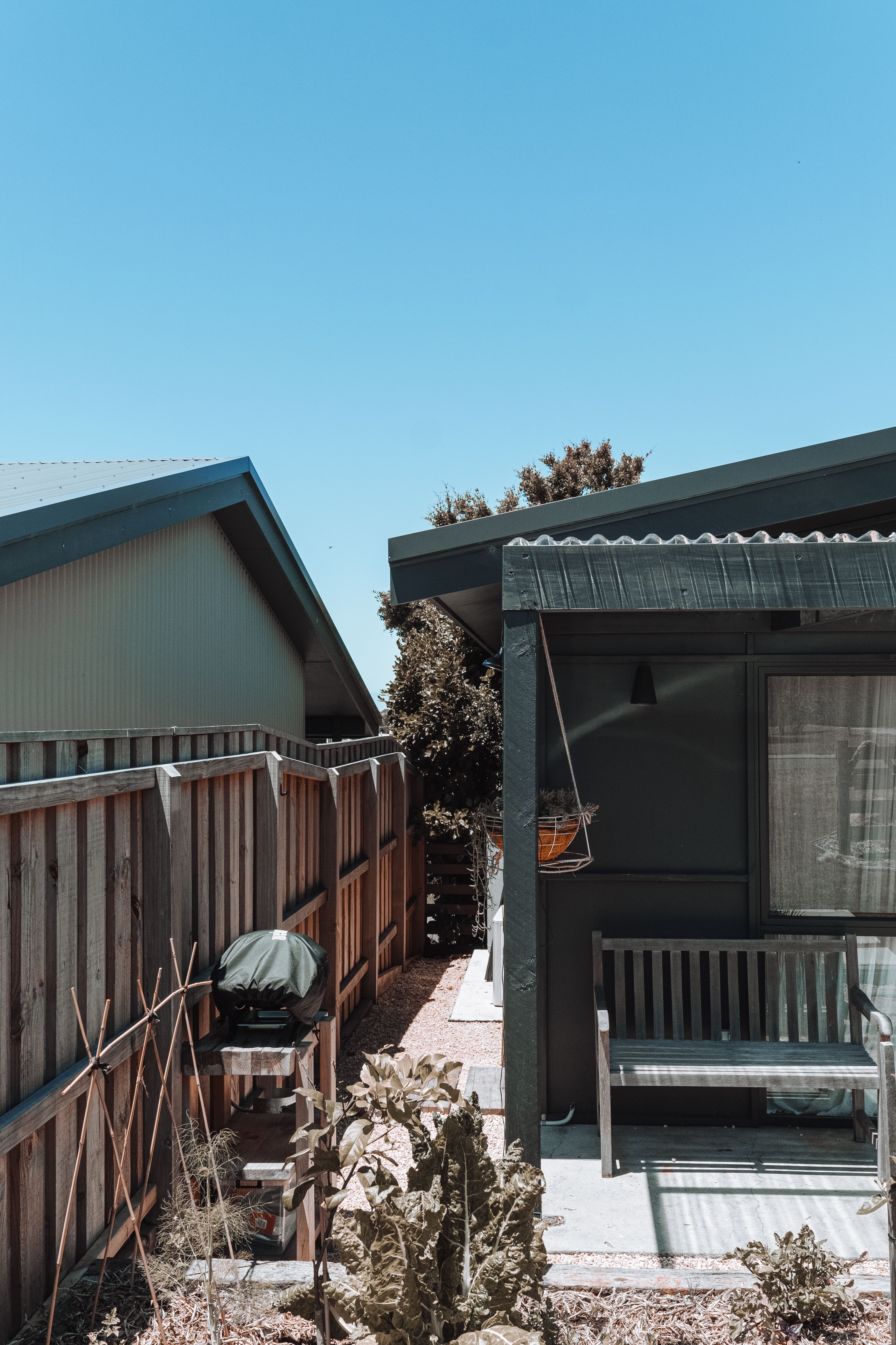 Sunny Australian backyard with timber fencing