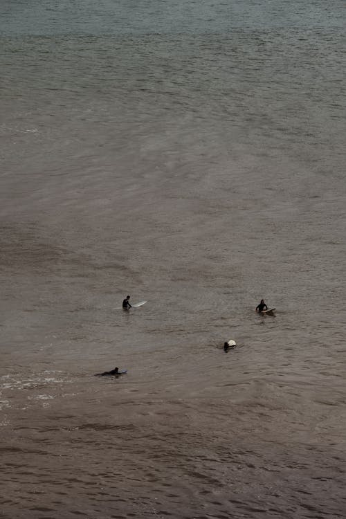 Aerial View of Surfers on the Sea