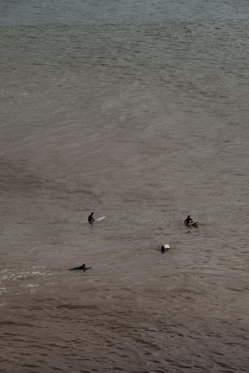 Photos gratuites de activité d'eau, faire du surf, gens