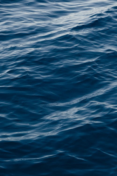 Foto profissional grátis de fechar-se, mar, oceano