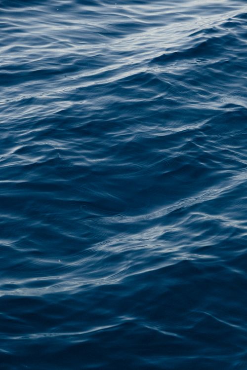 Free Detailed close-up of gentle sea waves at sunrise, capturing the calming essence of the ocean. Stock Photo