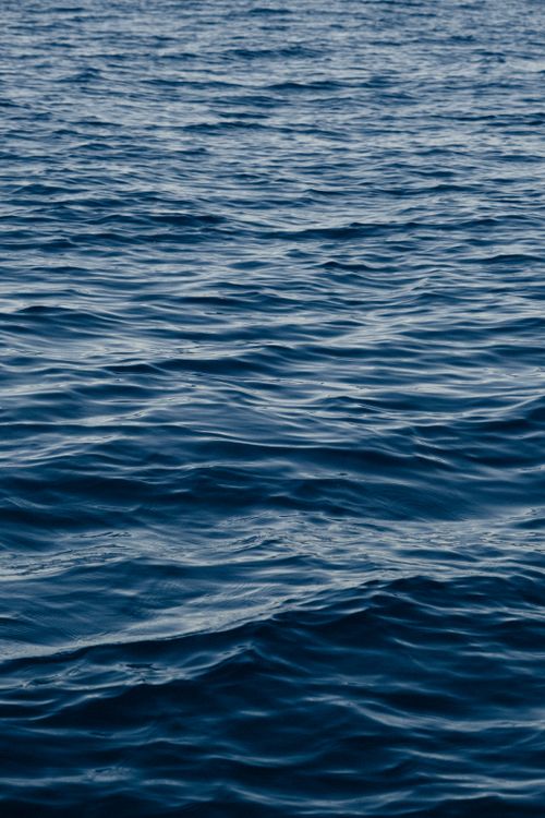 Free Calm ocean waves gently ripple across the water surface, capturing a moment of tranquility. Stock Photo