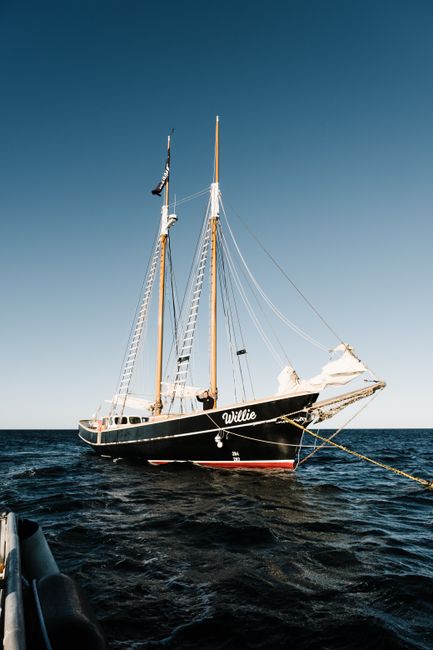 A classic tall ship named Willie sailing on calm waters under a clear blue sky, ideal for nautical themes.