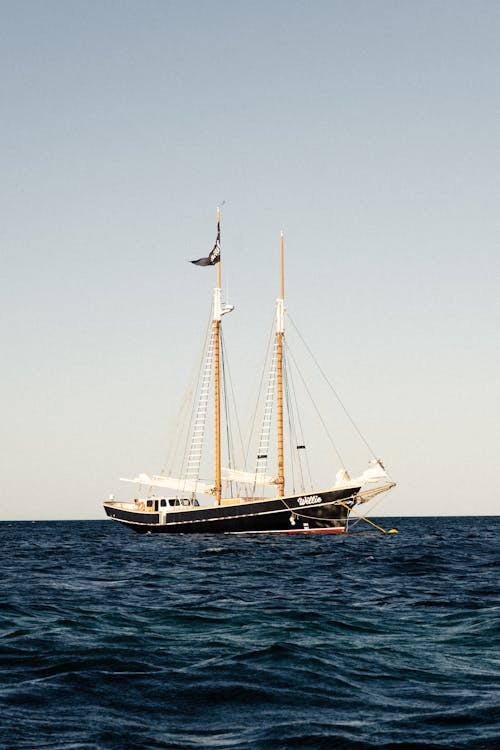 Foto d'estoc gratuïta de barca, creuer, creuer oceànic