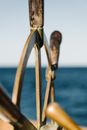 Selective Focus of Streering Wheel