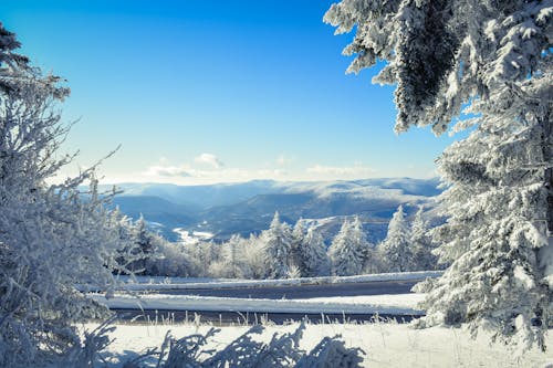 Fotobanka s bezplatnými fotkami na tému chladný, hora, krajina