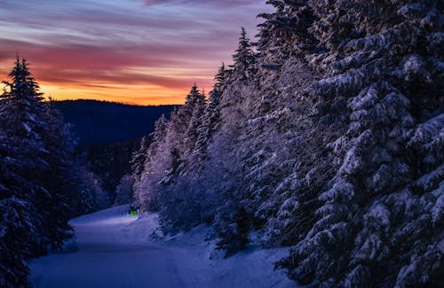 冬季, 日出, 日落 的 免費圖庫相片