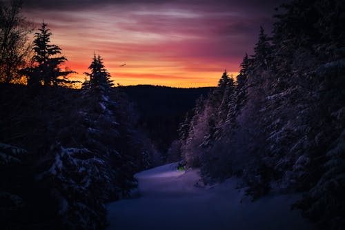 冬季, 小路, 日出 的 免费素材图片