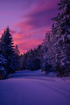 A serene winter forest path under a vivid purple twilight sky with snow-laden trees.
