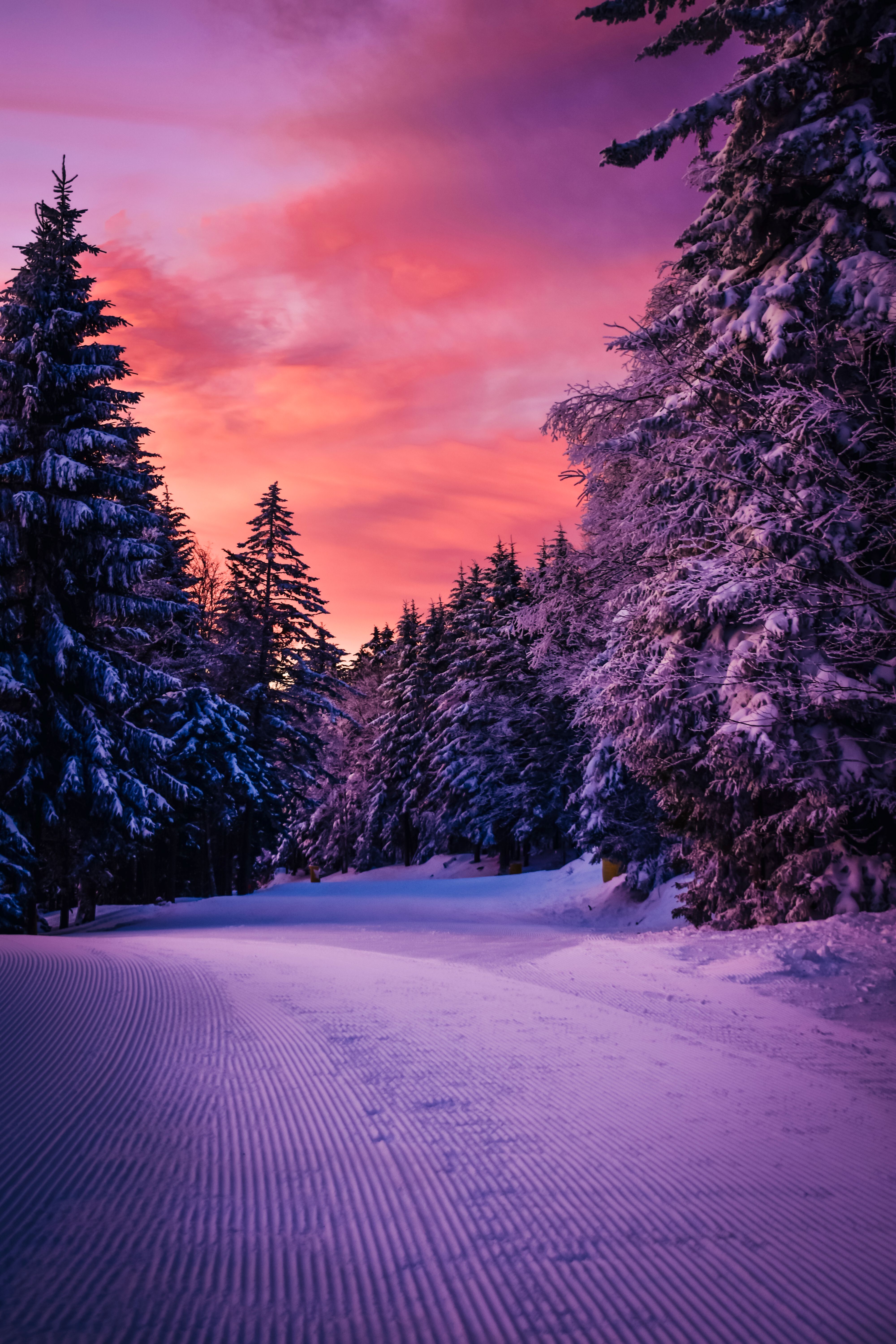 A Dirt Road Covered in Snow · Free Stock Photo