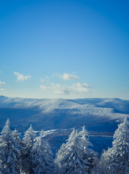 무료 겨울, 경치, 구름의 무료 스톡 사진